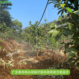甘肃平凉县林草生态扶贫水肥一体化项目设计施工 大田苹果施肥机