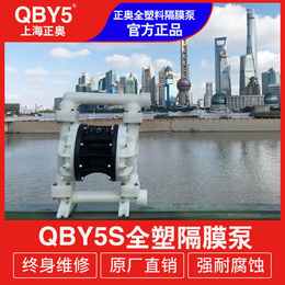 正奥泵业QBY5S-32F型全塑料气动隔膜泵化工液体气动泵