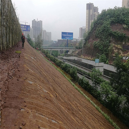 边坡植被绿化生态毯 河道生态治理工程