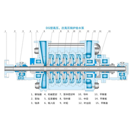 多段泵图纸-宜春多段泵-程跃泵业