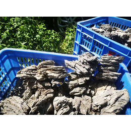 梅州供应厂家销售英石青龙石    新品青龙石