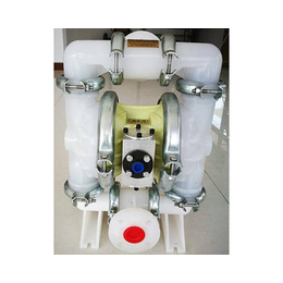 忻州BQG-100/0.3-星达机电-BQG-100/0.3隔膜泵批发