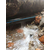 吴江同里镇消防管道漏水检测与维修查水管漏水缩略图2