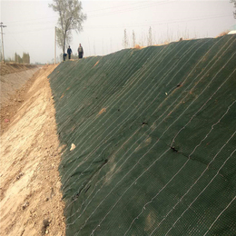 植生毯 防护型草毯 植物纤维毯 绿化冲生物毯缩略图