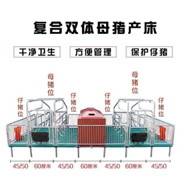 保育两用单双体分娩床一体全复合热镀锌复合板养殖场设备