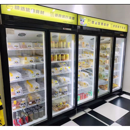 内蒙古玻璃门冷冻柜生产厂家 食材超市