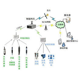 物联网业务，兵峰电子-水产养殖在线监控系统