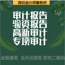 财务审计审计报告资金专项报告验资报告汇算清缴