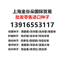 批发进口种子 上海港供应新到港的进口种子 直接进口商