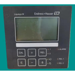 DO测量仪e+h溶解氧变送器维修COM253
