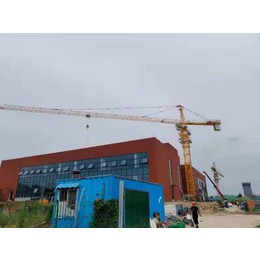 禹城市QTZ63塔吊公司主营臂长50米QTZ5013塔机