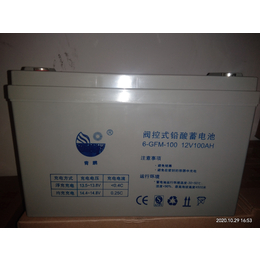 西安劲晟12V100AH蓄电池代理商-西安劲晟电子技术公司