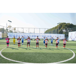 青少年足球培训机构推荐-乐动体育(在线咨询)-青少年足球培训