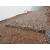 山东生态格网垫河道护坡护岸绿滨垫水水利防洪防汛的福星缩略图1