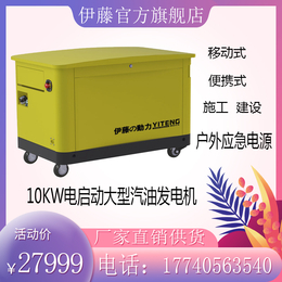 10kw大型汽油发电机组YT10REM