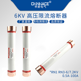 华册RN1-6KV限流熔断器0.5-1-2-3-5-7.5A