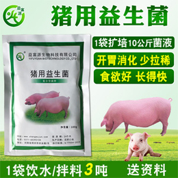 猪用益生菌益富源大小猪营养液母猪肉猪益生素酵素酶