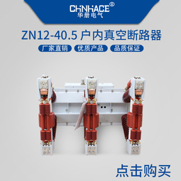 固定高压真空断路器ZN12-40.5/1600-2000A