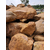 河源石场出售大量一般吨位黄蜡石 好品质用石说话缩略图2
