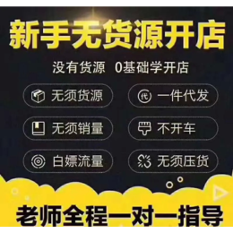 拼多多代理淘上拼拼上拼软件贴牌使用改logo无限开店