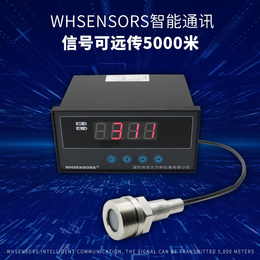 WP435A压力变送器 2.5MPa