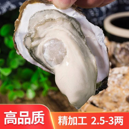 威海乳山生蚝金给利加工厂联系电话是多少