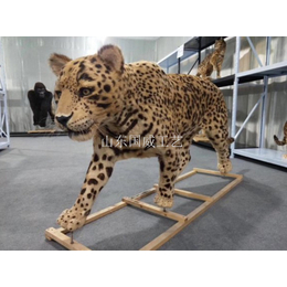人工植毛豹标本展览手工花豹模型