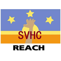 REACH认证224项报告REACH报告检测什么项目的 