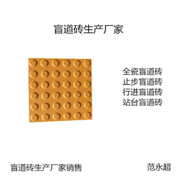 上海盲道砖  众光全瓷盲道砖  常用类型规格厚度