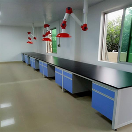 供应厂家东莞全钢钢木PP实验边台实验室家具设备