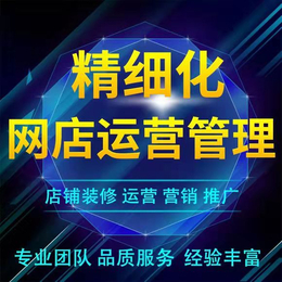 杭州合商盈电商阿里巴巴淘宝天猫拼多多京东代运营托管服务缩略图