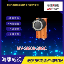 海康x86智能相机MV-SI608-38GC