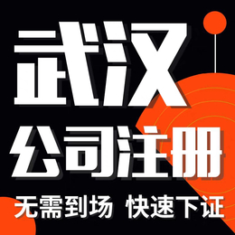 江汉公司注销-公司注册服务团队帮您办理