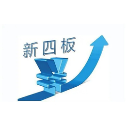 北京股权新四板挂牌业务新四板上市的条件
