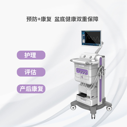 产后骨g盆修x复仪 盆底肌修x复仪设备厂家供应缩略图