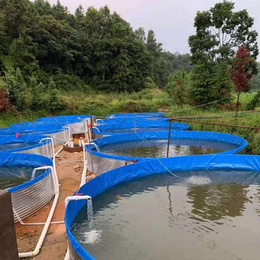 养殖镀锌板帆布鱼池高位池养殖新型水产养殖设备安装简单排污方便