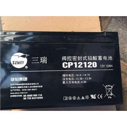 三瑞蓄电池CP12400F 三瑞蓄电池12V40AH 