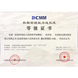 潍坊dcmm数据管理能力成熟度评估
