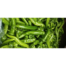 新鲜蔬菜哪便宜-刘建平蔬菜配送(在线咨询)-湖南新鲜蔬菜