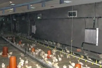 鸡舍供暖设备相比传统燃煤锅炉，优势体现在哪里？