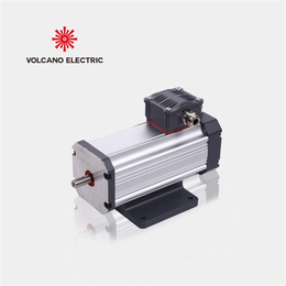 保定高压泵电机-永磁同步电机-48伏高压泵电机