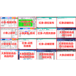 拼多多小象软件采集数据过滤标题违规词过滤代理贴牌