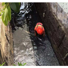 东莞道滘镇河道清淤 东莞鱼塘清淤淤泥清理外运