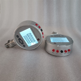 赛斯顿智能压力校验仪 数字压力校验器 标准数显压力表带电测