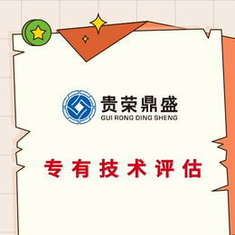 天津市专有技术评估专利实缴评估知识产权评估软著评估缩略图