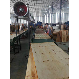 温州樟子松板材生产基地-明堂贸易