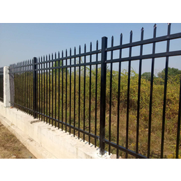 广州工厂锌钢护栏河道防护景观围栏学校隔离坚固围墙护栏价格实惠缩略图