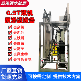 大型工业纯化水处理去离子水设备商用直饮双级反渗透纯水机净水器