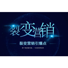 深圳分销商城系统APP小程序定制软件开发社交电商裂变源码链动