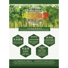 青州迪生(在线咨询)-新式绿豆脱皮机-新式绿豆脱皮机生产厂家